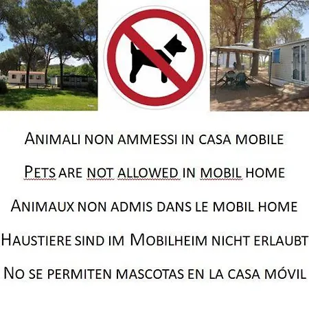Aurelia Club 3*